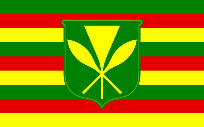 The Royal Standard Of King Kalakaua Flag 3' x 5' Hawaii 