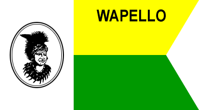 [Former Flag of Wapello County, Iowa]
