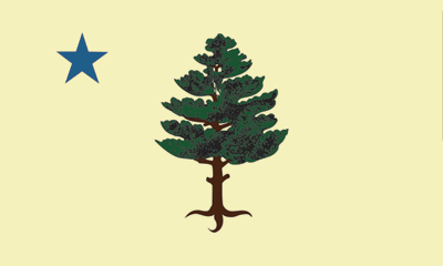 [First Official Maine State Flag]