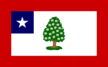[Mississippi Flag captured by the 2nd Iowa Cavalry]