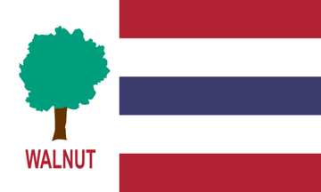 [flag of Walnut, Mississippi]