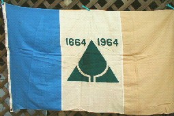 [Tricentennial Flag of New Jersey]