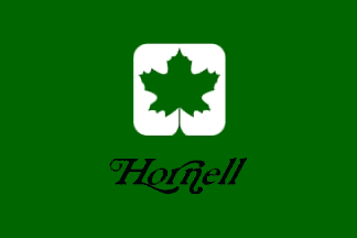 [Flag of Town of Hornell, New York]