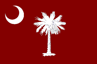 Resultado de imagen de red palmetto flag