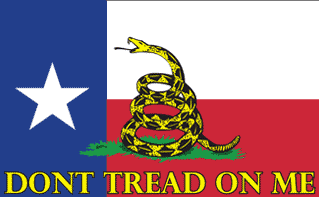 [Texas Gun Control Protest Flag]