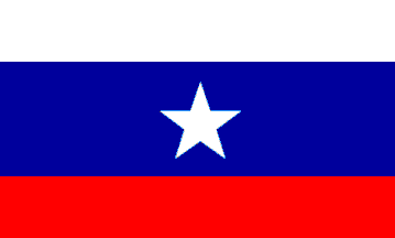 [Pilot flag of Texas]