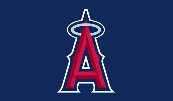Los Angeles Angels 2007 AL West Division Champions Banner