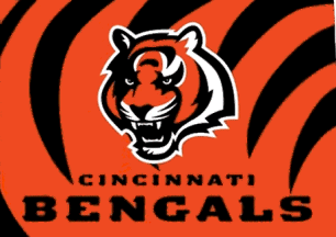 [Cincinnati Bengals official flag]