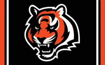 [Cincinnati Bengals tiger head flag with vertical stripes]