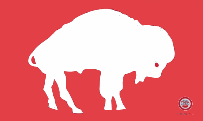 buffalo bills afl