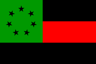 [Afro First National Flag]