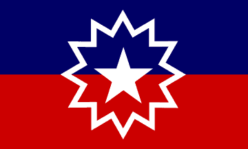 Image result for juneteenth flag