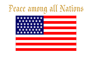 [U.S. 44 star peace flag 1891]