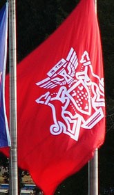 [Flag of University of Houston, Texas]