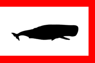 [Nantucket Whaler]