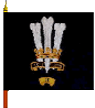 Governor General’s Foot Guards