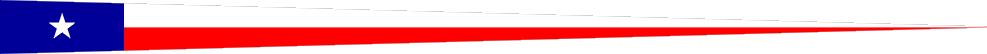 Whip pennant
