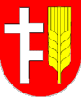 Stern und Kreis