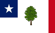suppositious Mississippi flag