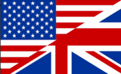 friendship flag