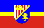 government flag