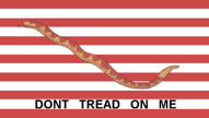 Rattlesnake flag