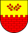 Arms of Miren, Slovenia