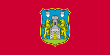 post-Medieval shield