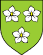 arms