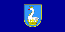 Flag of Posedarje, Croatia