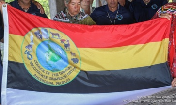 [Original Miccosukee Simanolee Nation Aboriginal Peoples Council flag]