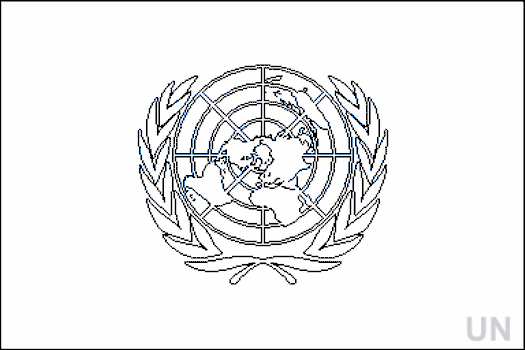 Colouring Book of Flags: International Organizations